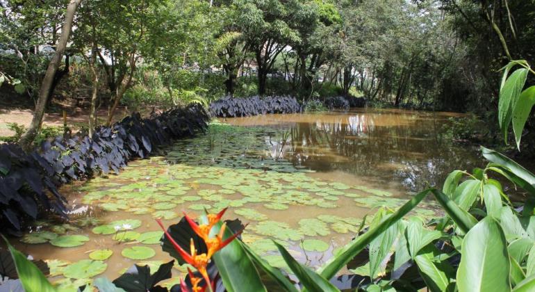 Imagem do lago no Parque Ursulina de Andrade Mello