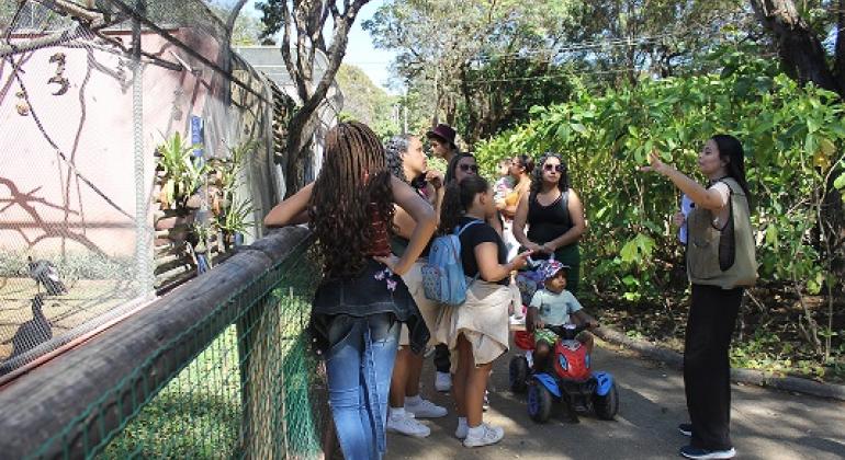 Atividades de educação ambiental reúnem mais de 45 mil pessoas nos parques e Zoobotânica de BH no primeiro semestre Atividades de educação ambiental reúnem mais de 45 mil pessoas nos parques e Zoobotânica de BH no primeiro semestre