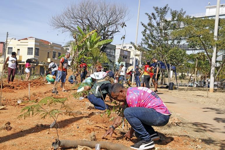 Representantes das quadrilhas do Arraial de Belô participam de ação de plantio de mudas Pessoas vestidas com camisetas alusivas aos grupos de quadrilha plantão mudas de árvores em praça da Capital.