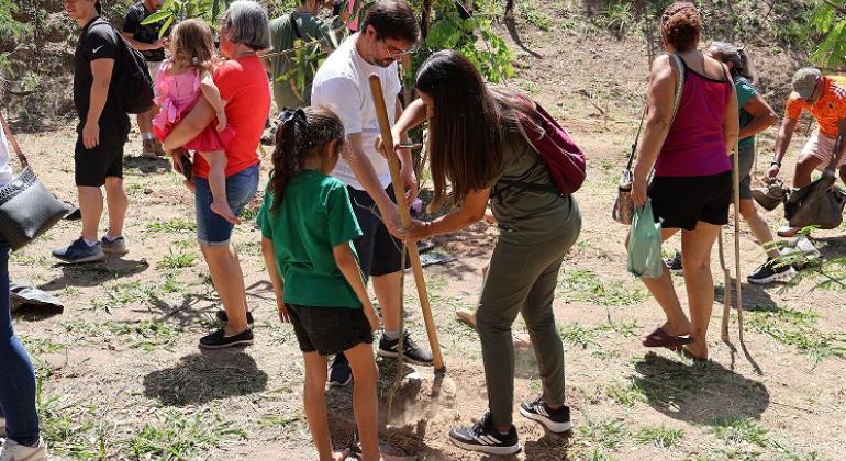 Parques de BH vão receber mil mudas em novembro: plantios começam neste sábado (1º)