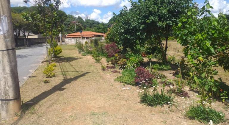 SLU e cidadãos criam área limpa e reflorestada junto a córrego SLU e cidadãos criam área limpa e reflorestada junto a córrego