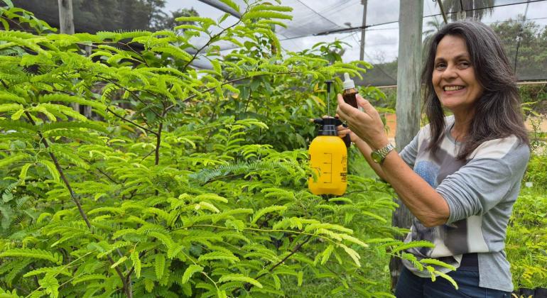 PBH participa do I Congresso Brasileiro de Homeopatia na Agricultura e Ambiente 