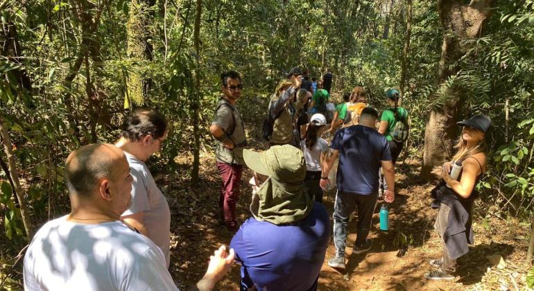Trilha gratuita apresenta a biodiversidade do Parque Ursulina de Andrade Mello