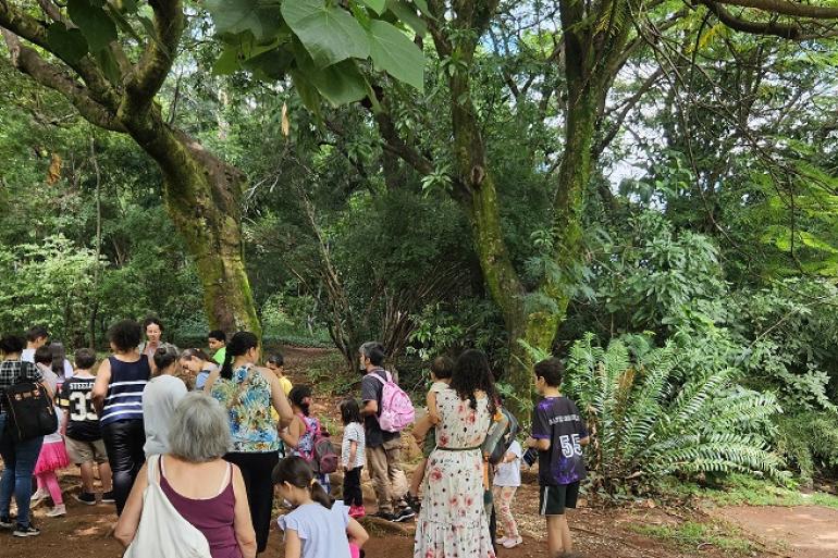 Várias pessoas caminham por uma trilha no Parque Jacques Custeau. No grupo há mulheres, crianças e homens. Várias arvores aparecem na margem da trilha.