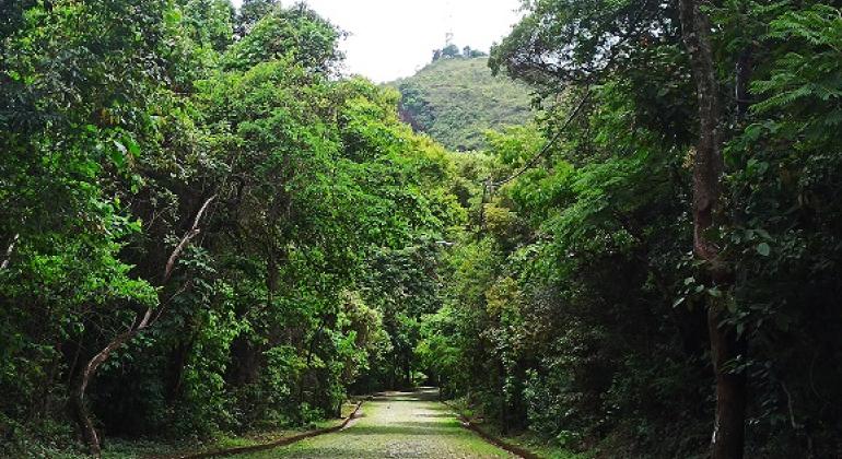 Trilhas educativas incentivam conexão com a natureza no Ursulina de Andrade Mello e outros parques