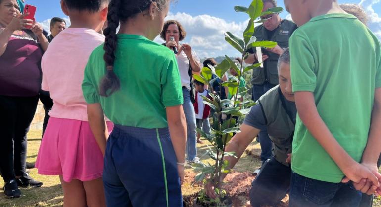 PBH lança painel para monitoramento de plantios do Plano de Arborização