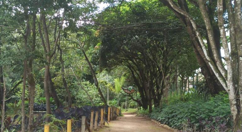 Trilha Kids leva a criançada a ter contato com a natureza no Ursulina de Andrade Mello