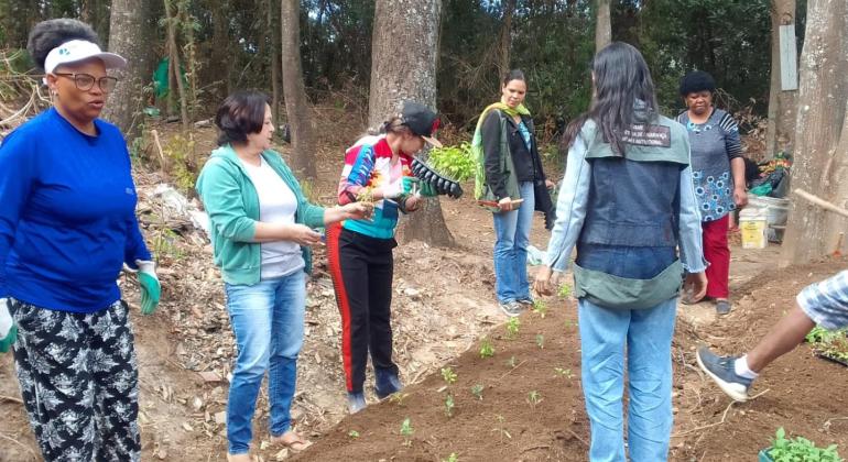 Ação da PBH promove a preservação ambiental e segurança alimentar no Aglomerado da Serra
