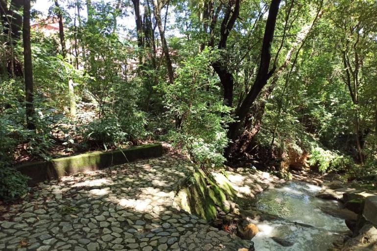 Parque Caiçara celebra aniversário com trilha sensorial e debate sobre emergência climática