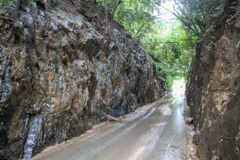 Trecho de via estreita entre paredões de pedra, cercado por vegetação densa, com pista molhada.
