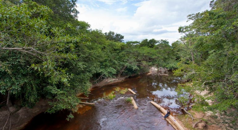 Qualidade das margens do São Francisco é tema do próximo “Ambiente em Foco" Margens do São Francisco