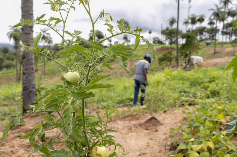 Abertas as inscrições para o 4° Seminário Internacional de Segurança Alimentar e Nutricional 