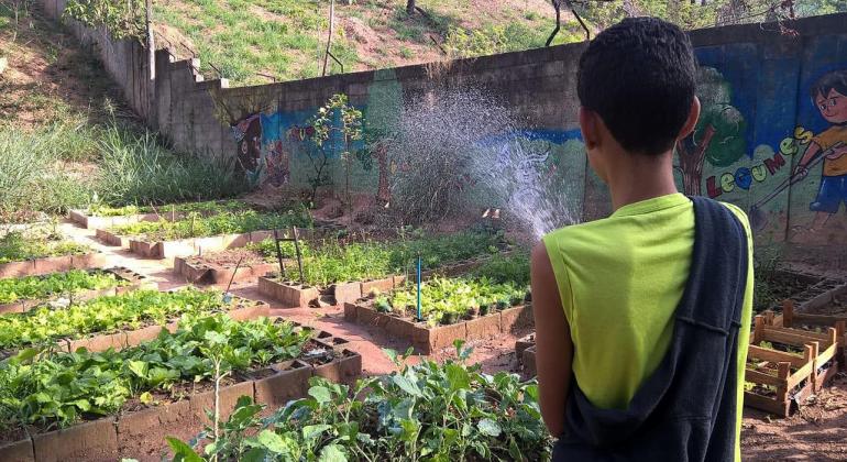 Projeto Horta Escolar muda hábitos alimentares e incentiva o consumo sustentável Aluno molha horta cultivada na escola Escola Municipal Rui da Costa Val
