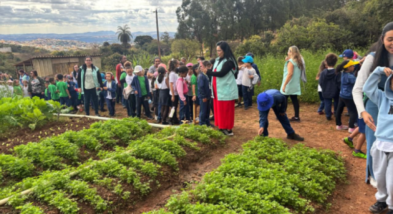 Trabalhos diversos ajudam a melhorar hábitos alimentares em escola #paratodosverem: A imagem mostra um grupo grande de crianças e adultos em uma horta ao ar livre, sob um céu parcialmente nublado. As crianças observam e interagem com as plantas, acompanhadas por professoras e monitoras vestindo coletes verdes. Há canteiros bem cuidados com vegetação verde e um caminho de terra por onde o grupo caminha. Ao fundo, veem-se árvores, um pequeno galpão e uma vista ampla da cidade.