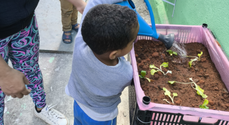 #paratodosverem: Uma criança pequena, de blusa cinza, rega com cuidado pequenas mudas de hortaliças plantadas em uma caixa de plástico rosa. O cesto é usado como canteiro. A criança é assistida por um adulto e o ambiente tem paredes verdes. A cena foca na importância da educação sobre alimentos e o cultivo na infância.