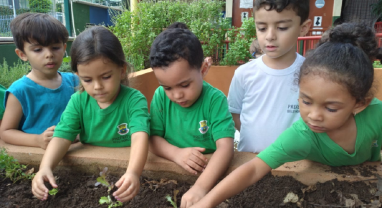 #paratodosverem: cinco crianças estão em um canteiro de horta, plantando mudas em solo escuro. Três delas vestem uniforme verde, uma veste uniforme branco e outra veste uma blusa azul sem mangas. Elas estão concentradas, usando as mãos para colocar as mudas na terra. Ao fundo, há plantas, grades e um prédio escolar.