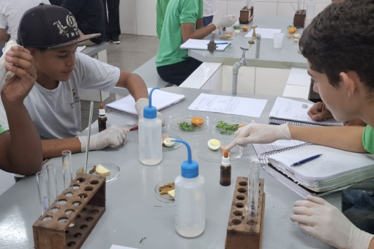 Estudantes participam de atividade prática em laboratório de ciências. #paratodosverem: A imagem mostra estudantes sentados ao redor de uma bancada em um laboratório escolar, usando luvas e observando materiais em placas e tubos de ensaio. Eles analisam alimentos e fazem anotações em cadernos durante a atividade prática.