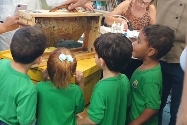 As crianças conheceram as ferramentas utilizadas pelo apicultor. #paratodosverem: Quatro crianças de camisa verde observam atentas uma caixa de acrílico e madeira com um favo de mel dentro. Uma mão adulta segura a alça da caixa sobre um suporte amarelo. A menina no centro usa um laço claro no cabelo ruivo. Ao fundo, uma mulher de óculos e regata estampada trabalha em uma mesa com livros e frascos, enquanto alguém à esquerda segura um celular para registrar a cena.