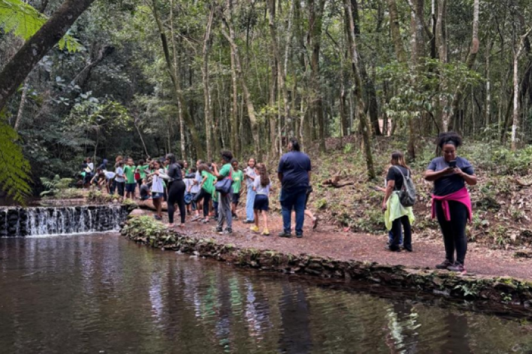 #PARATODOSVEREM: Grupo de estudantes caminha por uma trilha ao lado de um curso d’água em uma área de mata. Alguns alunos observam o ambiente, enquanto outros utilizam celulares. Ao fundo, há árvores altas e uma pequena queda d’água cercada por pedras. 