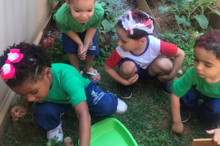 #paratodosverem: Quatro crianças pequenas observam e cuidam de uma horta escolar, ajoelhadas ao redor de canteiros com alfaces e outras plantas. Elas vestem uniformes verdes e azuis. Uma delas segura uma ferramenta fincada na terra de um vaso. 