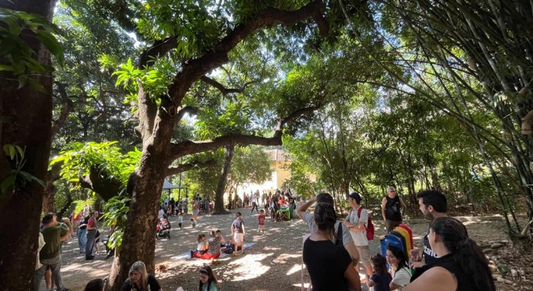 Ambiente em Foco Virtual: um chamado à ação em meio à emergência climática