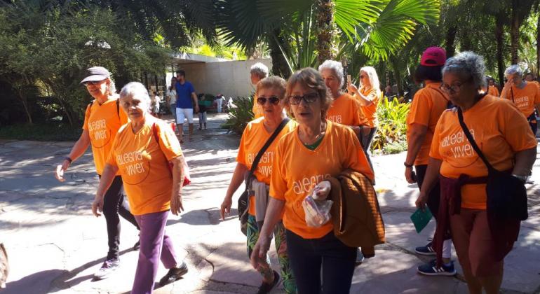 Sete idosos, de camiseta laranja, passeiam em meio a árvores e muitas plantas, durante o dia. 