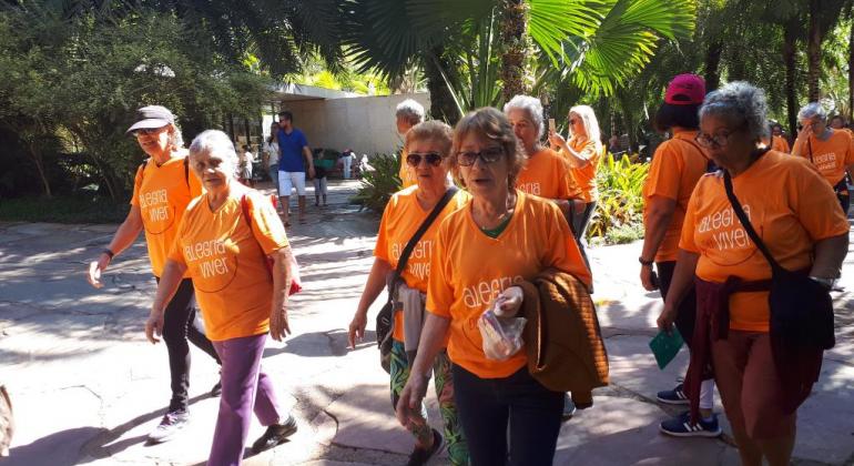 Mais de seis idosas de camiseta laranja caminhando em lugar arborizado. 