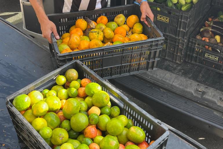 Atuação da Prefeitura torna Belo Horizonte destaque no combate ao desperdício de alimentos A foto mostra caixas plásticas cheias de frutas cítricas, principalmente laranjas e tangerinas, em diferentes estágios de maturação, variando entre tons de verde, amarelo e laranja. As caixas estão sendo carregadas na parte traseira de um veículo, provavelmente para transporte ou distribuição. Ao fundo, há outras caixas com frutas e uma pessoa usando uma camiseta listrada preta e branca, segurando uma das caixas.