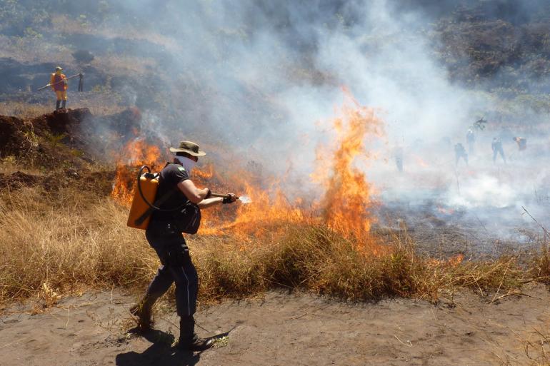 Palestra do Ambiente em Foco Virtual aborda recuperação da fauna após incêndios florestais Na foto, brigadistas combatem fogo em mata.