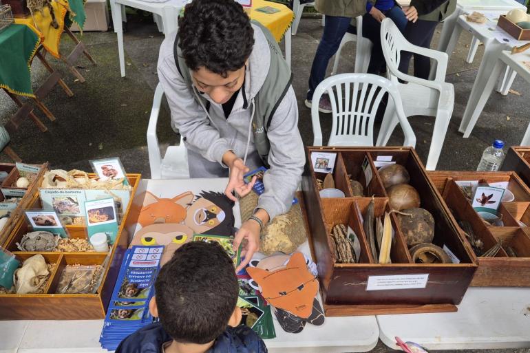 No Parque Municipal, uma educadora ambiental apresenta a uma criança materiais educativos sobre animais silvestres. Sobre a mesa, estão dispostos cartões ilustrados com animais, crânios, cascos e outros elementos naturais utilizados nas atividades de educação ambiental.