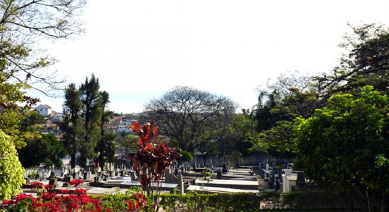 Túmulos e árvores em um dia de sol no Cemitério da Saudade.