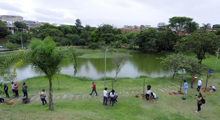 Parque com árvores, grama, lago e dezenas de pessoas realizando plantio e caminhando.
