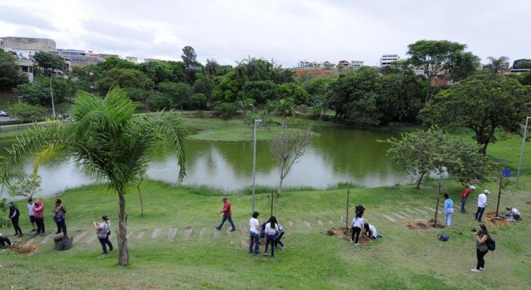 Parque Nossa Senhora da Piedade: um espaço de convivência e lazer. Foto: Adão de Souza/PBH Parque com árvores, grama, lago e dezenas de pessoas realizando plantio e caminhando.