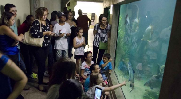 Mais de dez pessoas observam o aquário com peixes, à noite. 