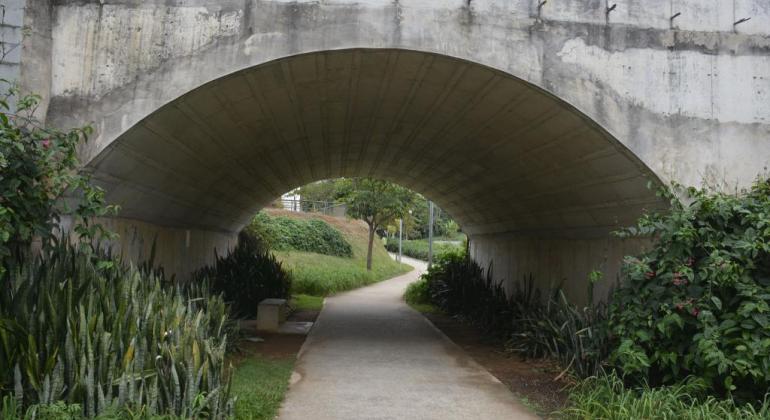 Vegetação verde em caminho que tem uma passarela acima. Paisagem do Parque Nossa Senhora da Piedade. 