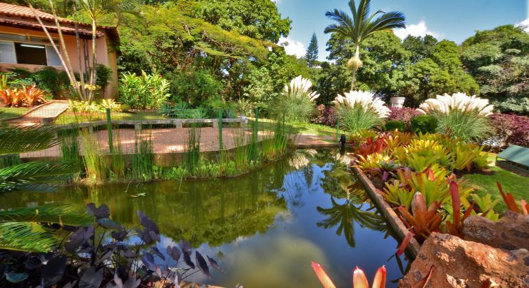 Uma casa, um lago artificial e muitas plantas, durante o dia. 