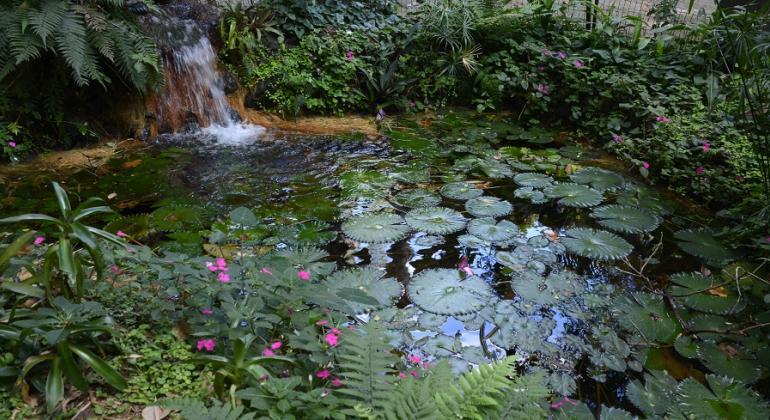 Fonte de água natural do Parque Municipal Américo Rennée Giuannetti