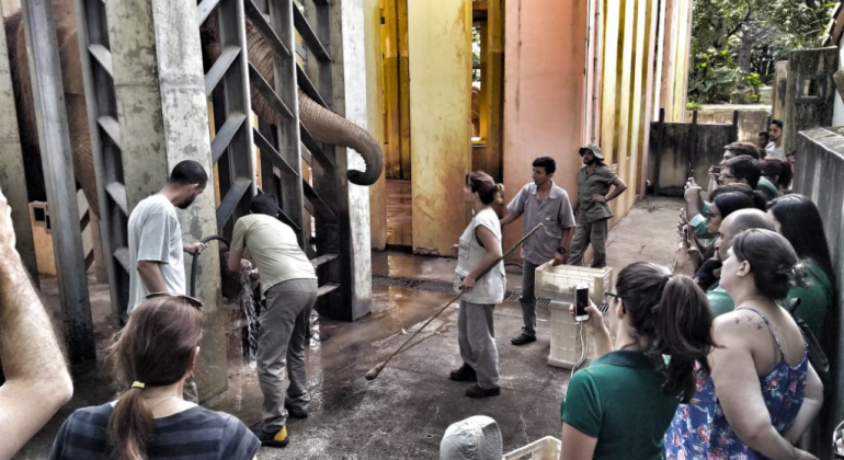 Elefante atrás de local com grades é observado por mais de 20 pessoas, em zoológico, durante o dia. 