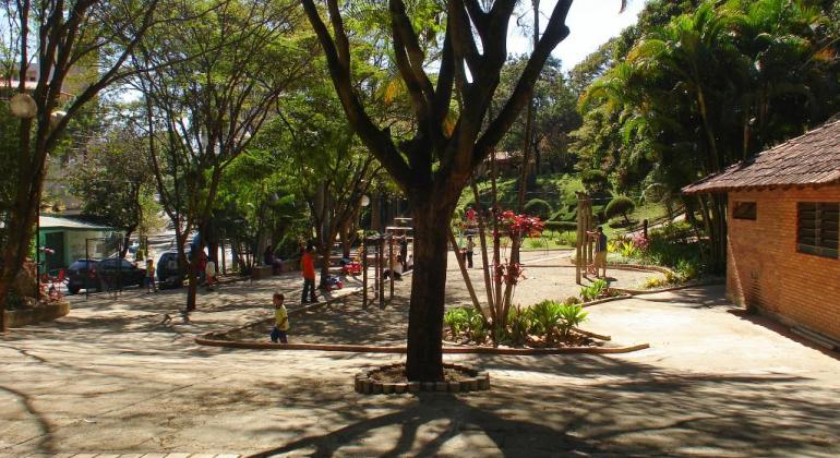 Árvores e pessoas passeando em parque municipal. 