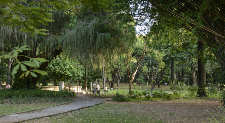 homem sentado em banco do Parque Municipal em meio à exuberante vegetação, com plantas e árvores frondosas, durante o dia. 