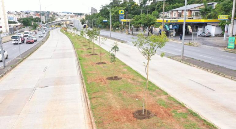 PBH implanta microfloresta na avenida Pedro I 