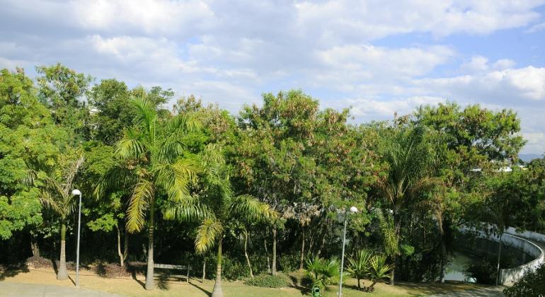 Confira os principais eventos gratuitos que acontecem em BH neste fim de semana, entre os dias 7 e 8/12. Foto: Adão de Souza/PBH Parque Municipal 1º de Maio, com muitas árvores, durante o dia.
