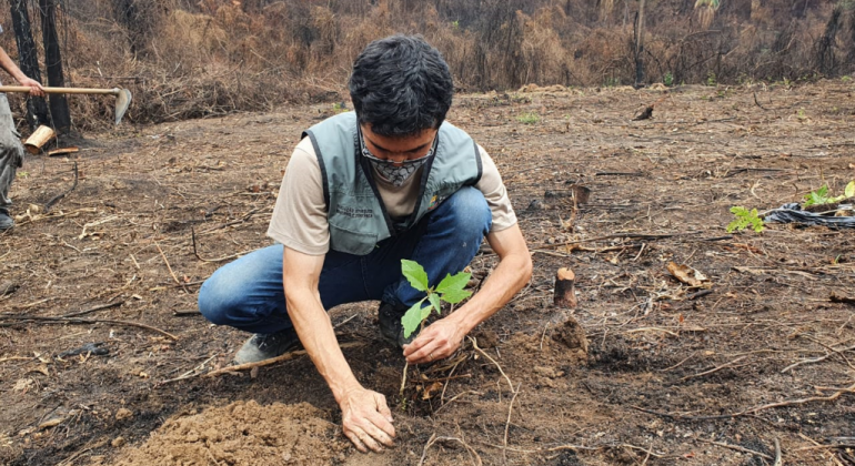 Equipe da PBH plantando árvore