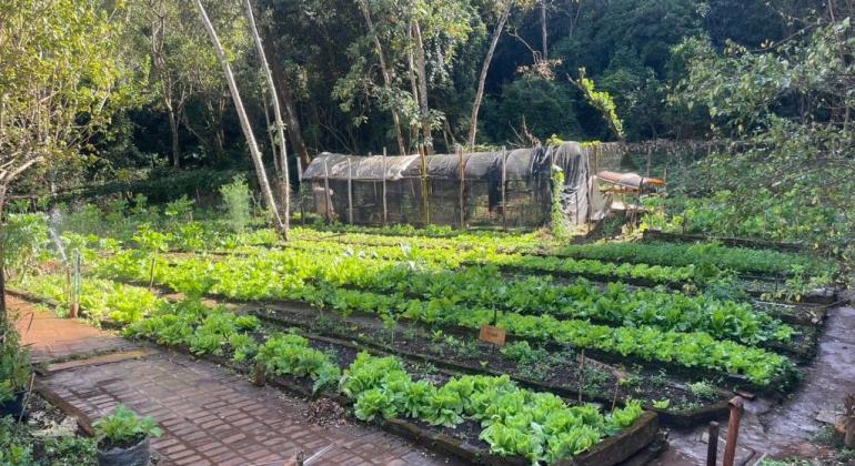 Horta no Parque das Mangabeiras é usada para atividade educativa e terapêutica