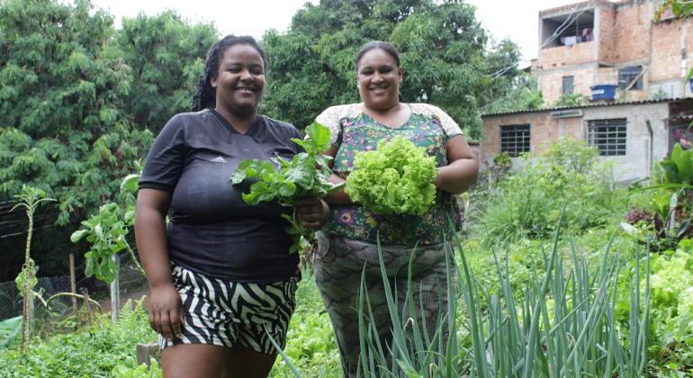 Mulheres são maioria na agricultura urbana em Belo Horizonte