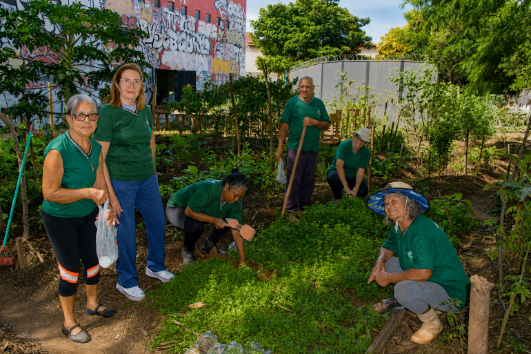 Horta comunitária no CRPI Norte está com vagas abertas para voluntários