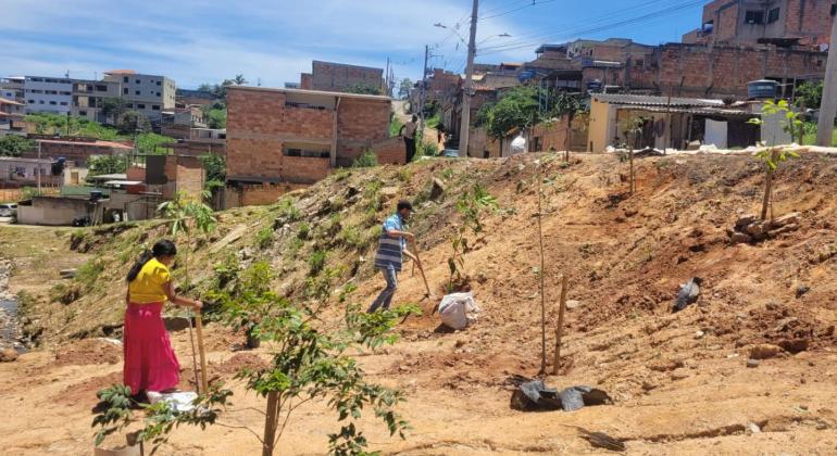 Plantios de mudas pela Urbel ampliam áreas verdes em vilas e favelas 