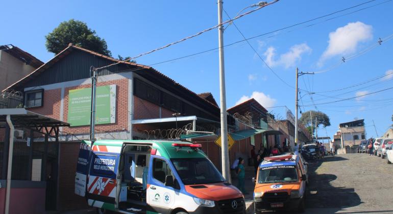 Prefeitura de BH oferece tratamento gratuito para esporotricose em gatos