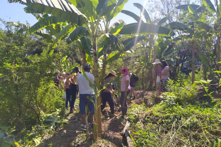 Prefeitura abre inscri??es para o curso de agroecologia 2026 