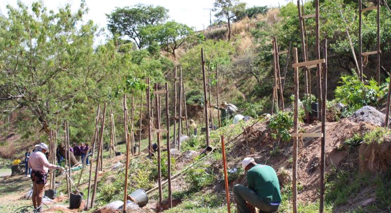 PBH inicia o plantio de árvores em área de conservação do Granja de Freitas
